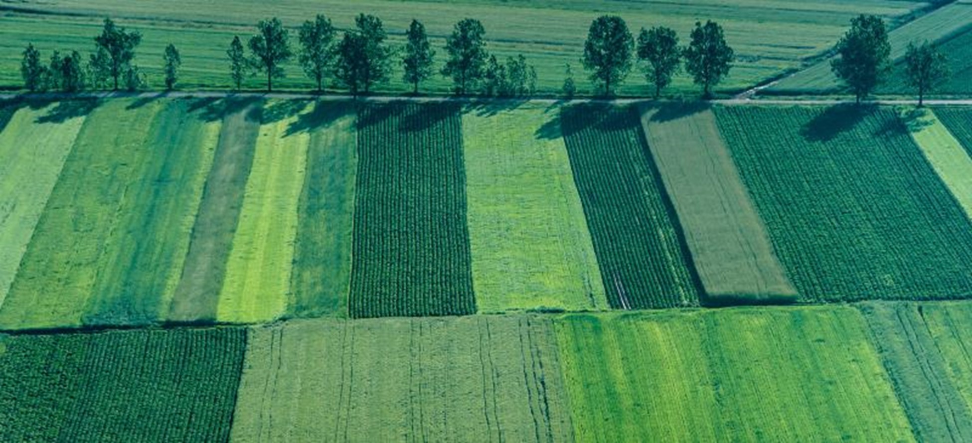 What Is A Conservation Easement In Minnesota? teaser